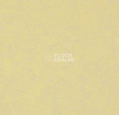 Кварцвиниловые полы Forbo Marmoleum Modular Colour 3566 фото 1 | FLOORDEALER