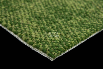 Haima Coral 30 фото 5 | FLOORDEALER