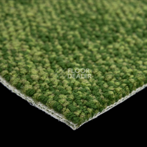 Haima Coral 30 фото 5 | FLOORDEALER