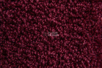 AW Masquerade Lamia 19 фото 4 | FLOORDEALER