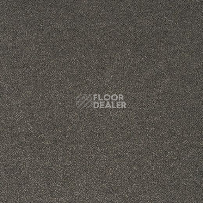 Ковролин Lano Pleasure Ple 0820 фото 1 | FLOORDEALER