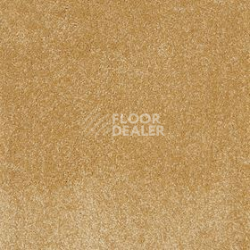 Ковролин AW Sonrisa 54 фото 1 | FLOORDEALER