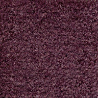 Ковролин Emphatic Beaulieu of America 56940 фото 1 | FLOORDEALER