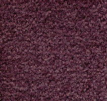 Ковролин Emphatic Beaulieu of America 56940 фото 1 | FLOORDEALER