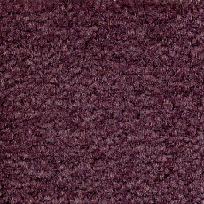 Ковролин Emphatic Beaulieu of America 56940 фото 1 | FLOORDEALER