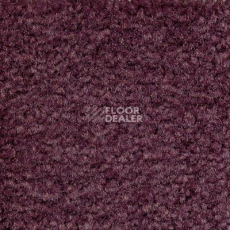 Ковролин Emphatic Beaulieu of America 56940 фото 1 | FLOORDEALER
