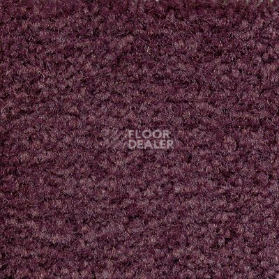 Ковролин Emphatic Beaulieu of America 56940 фото 1 | FLOORDEALER