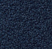 Ковролин Vorwerk Exclusive1009/Elara 3l75 фото 1 | FLOORDEALER