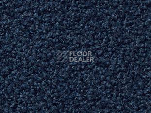 Ковролин Vorwerk Exclusive1009/Elara 3l75 фото 1 | FLOORDEALER