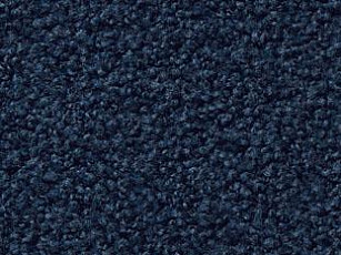 Ковролин Vorwerk Exclusive1009/Elara 3l75 фото 1 | FLOORDEALER