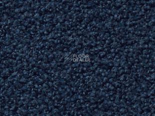 Ковролин Vorwerk Exclusive1009/Elara 3l75 фото 1 | FLOORDEALER