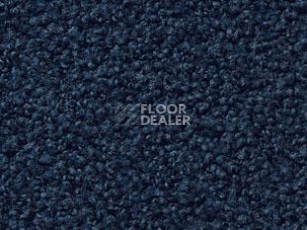 Ковролин Vorwerk Exclusive1009/Elara 3l75 фото 1 | FLOORDEALER