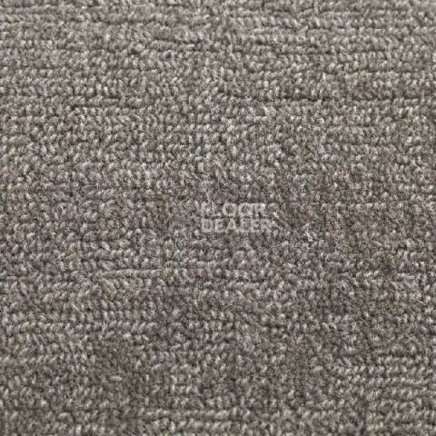 Ковролин Jacaranda Carpets Willingdon Seal фото 1 | FLOORDEALER