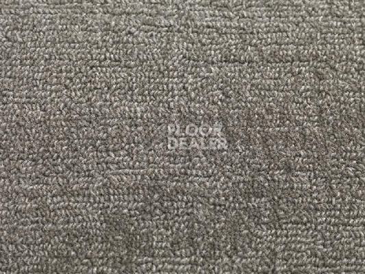 Ковролин Jacaranda Carpets Willingdon Seal фото 1 | FLOORDEALER