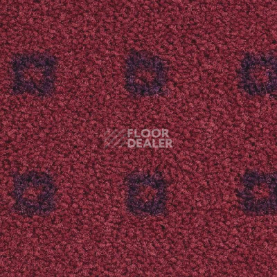 Ковролин Balsan Folio 550 фото 1 | FLOORDEALER