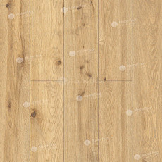 Alpine Floor by Classen Pro Nature 4мм Miranda 62539 фото 1 | FLOORDEALER