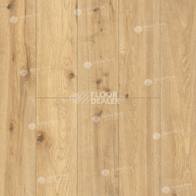 Кварцвиниловые полы Alpine Floor by Classen Pro Nature 4мм Miranda 62539 фото 1 | FLOORDEALER