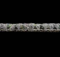 Desso Essence Traces ad 09 9527 фото 6 | FLOORDEALER