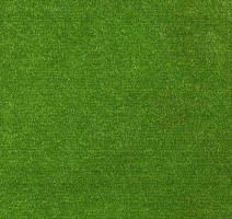 Ковролин Sintelon Festa 55735 фото 1 | FLOORDEALER