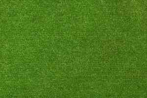 Ковролин Sintelon Festa 55735 фото  | FLOORDEALER