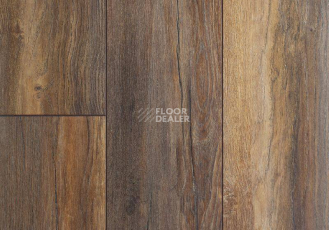 Ламинат My Floor Villa 12мм m1203 Дуб Портовый фото 1 | FLOORDEALER