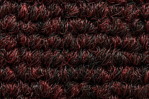 Art Intervention Коллекция Creative Spark Creative Spark 363 фото 5 | FLOORDEALER