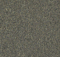 Ковровая плитка Interface Heuga 727 New 2022 672711 Cotton фото 1 | FLOORDEALER