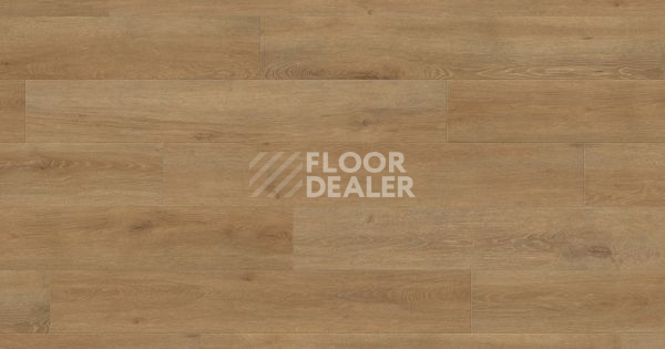 Ламинат Haro Tritty 200 Aqua Gran Via 4V ДУБ ВЕНЕТО НАТУР 540273 фото 1 | FLOORDEALER