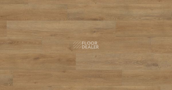 Ламинат Haro Tritty 200 Aqua Gran Via 4V ДУБ ВЕНЕТО НАТУР 540273 фото 1 | FLOORDEALER