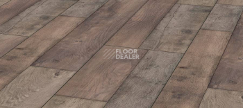 Ламинат Kronotex Mega Plus d4998 Дуб Береговой фото 1 | FLOORDEALER