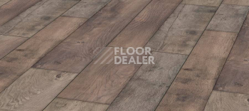 Ламинат Kronotex Mega Plus d4998 Дуб Береговой фото 1 | FLOORDEALER