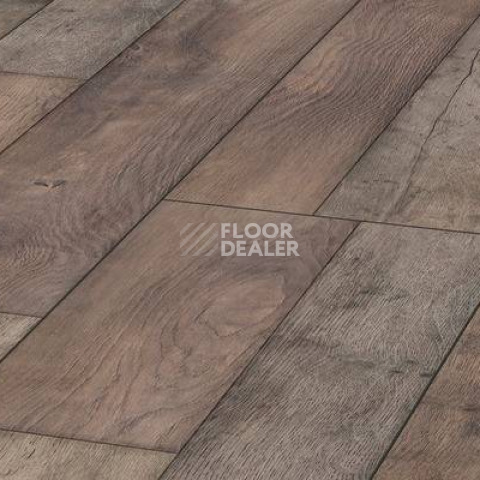 Ламинат Kronotex Mega Plus d4998 Дуб Береговой фото 1 | FLOORDEALER