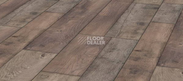 Ламинат Kronotex Mega Plus d4998 Дуб Береговой фото 1 | FLOORDEALER
