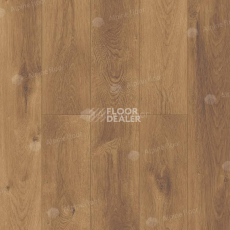 Кварцвиниловые полы Alpine Floor Premium XL Дуб Насыщенный ABA ECO 7-7 фото 1 | FLOORDEALER