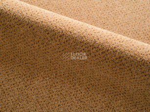 Ковролин Radici Verona 2409 фото 1 | FLOORDEALER