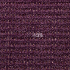 Ковролин Balta ITC Splendid 85 фото 1 | FLOORDEALER