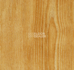 Кварцвиниловые полы Forbo allura decibel 0.8 wood 9715AD8 saffron ash (100x20 cm) фото 1 | FLOORDEALER