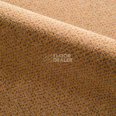 Ковролин Radici Verona 2409 фото 1 | FLOORDEALER