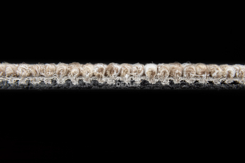 AW Medusa 33 фото 4 | FLOORDEALER