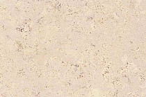 Пробковое покрытие Eco Cork замковое MADEIRA WHITE фото 1 | FLOORDEALER