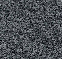 Ковролин AW Gaia Solstice 72 фото 1 | FLOORDEALER