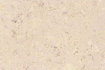 Пробковое покрытие Eco Cork замковое MADEIRA WHITE фото 1 | FLOORDEALER