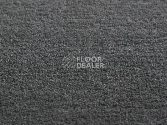 Ковролин Jacaranda Carpets Heavy Velvet Night фото 1 | FLOORDEALER