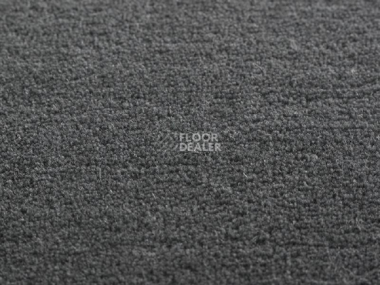 Ковролин Jacaranda Carpets Heavy Velvet Night фото 1 | FLOORDEALER
