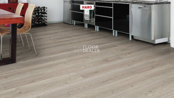 Haro Tritty 100 4V Дуб Флавия Серый 544702 фото 4 | FLOORDEALER