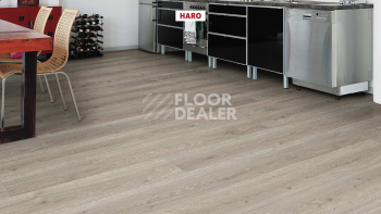 Haro Tritty 100 4V Дуб Флавия Серый 544702 фото 4 | FLOORDEALER