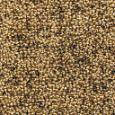 Ковролин AW Dakota 38  | FLOORDEALER