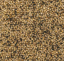 Ковролин AW Dakota 38 фото 1 | FLOORDEALER