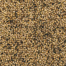 Ковролин AW Dakota 38 фото 1 | FLOORDEALER