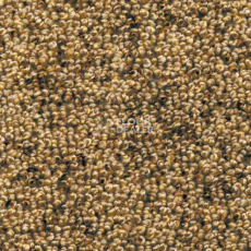 Ковролин AW Dakota 38 фото 1 | FLOORDEALER